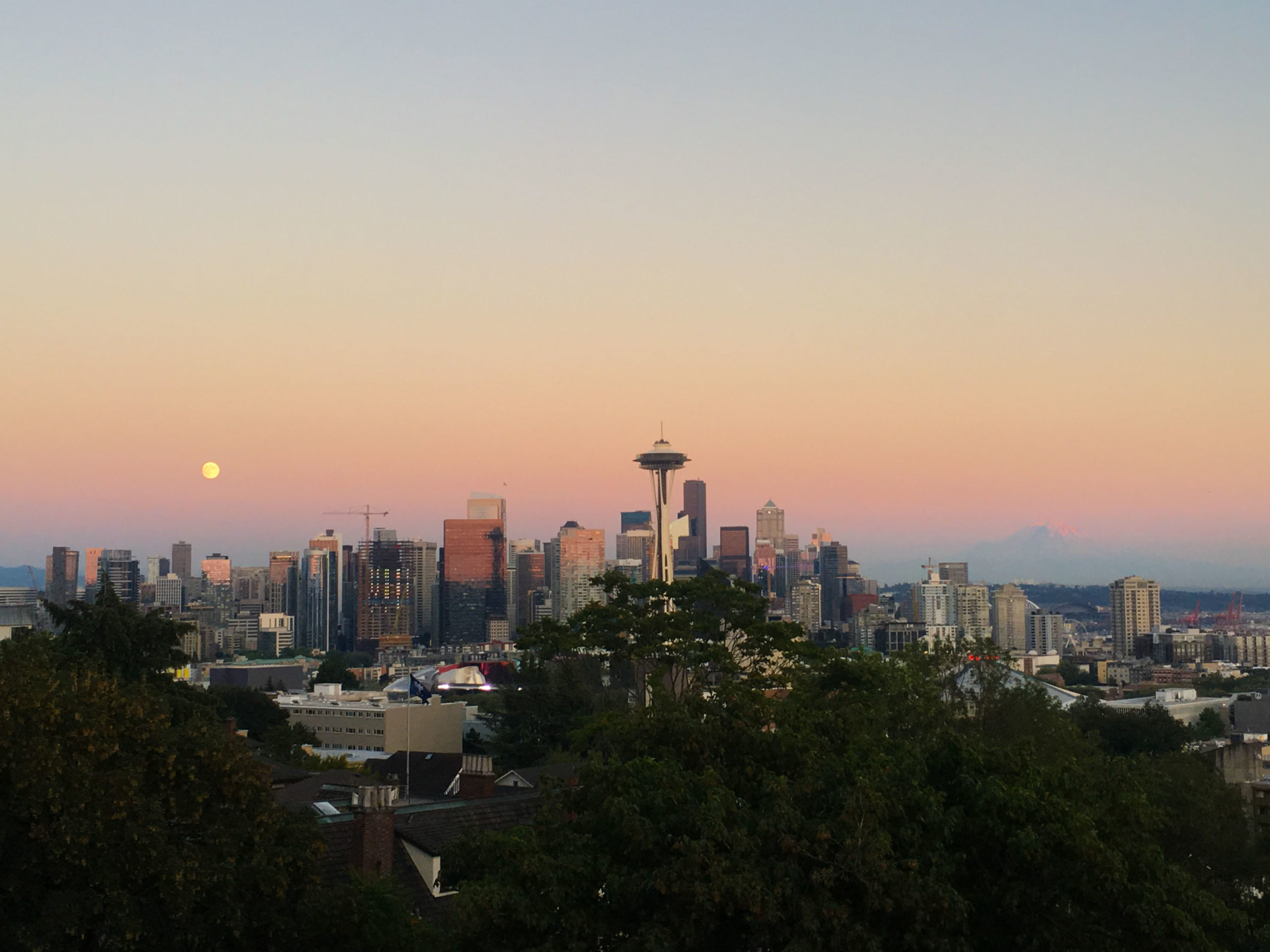 Introduction: Sleepless in Seattle